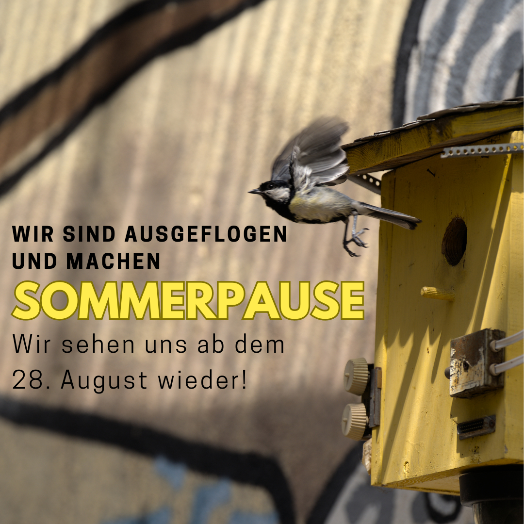 Auf dem Bild ist das Vogelhäuschen an der Außenwand des Café kaputt zu sehen, aus dem eine Meise raus fliegt. Neben dem Vogel steht folgender Text: "Wir sind ausgeflogen und machen Sommerpause. Wir sehen uns ab dem 28. August wieder!"
